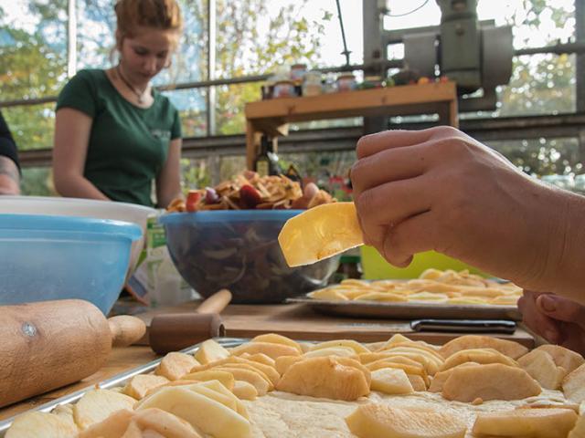 Erlebe die Freude am Ernten und Verarbeiten im Wangeliner Workcamp Kuchenbacken beim Wangeliner Workcamp Obstmanufaktur