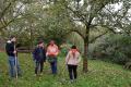 Teilnehmende vor einem Apfelbaum zur Ernte. | Foto: Wangeliner Workcamps
