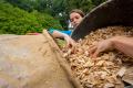 Workcamp-Teilnehmerin bei der Restaurierung.