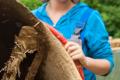 Workcamp-Teilnehmerin bei der Restaurierung. 