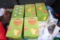 25 Liter frischer Apfelsaft in Kartons. | Foto: Wangeliner Workcamps